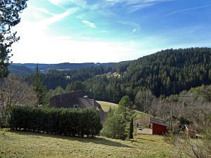 Tennenbronn im Februar