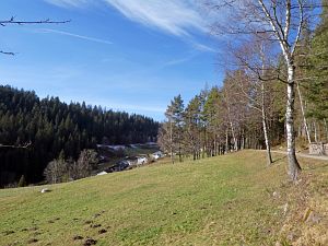 Tennenbronn im Februar