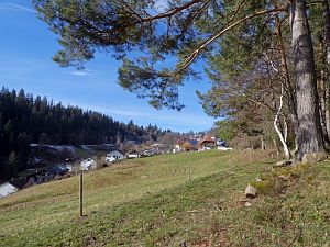 Tennenbronn im Februar