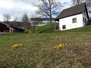 Details der Natur