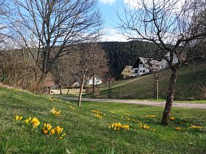 Details der Natur