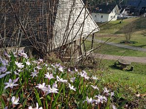 Details der Natur