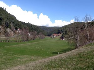  Halde - Bach - Mulp - Mittelberg