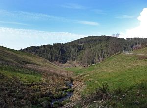  Halde - Bach - Mulp - Mittelberg