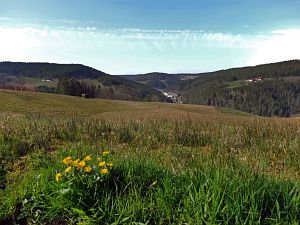  Halde - Bach - Mulp - Mittelberg