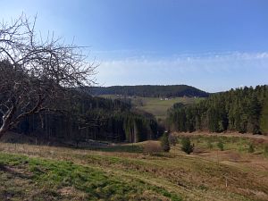  Halde - Bach - Mulp - Mittelberg
