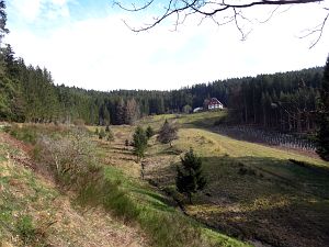  Halde - Bach - Mulp - Mittelberg