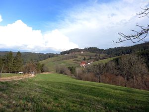  Halde - Bach - Mulp - Mittelberg