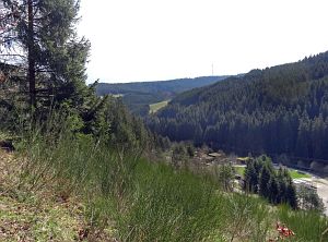  Halde - Bach - Mulp - Mittelberg