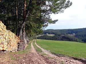  Halde - Bach - Mulp - Mittelberg