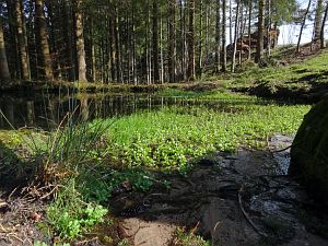  Halde - Bach - Mulp - Mittelberg