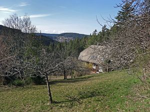  Halde - Bach - Mulp - Mittelberg