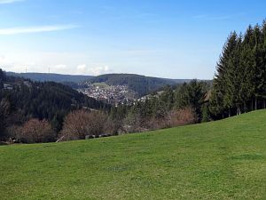 Halde - Bach - Mulp - Mittelberg