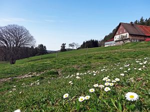  Halde - Bach - Mulp - Mittelberg