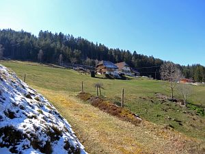 Ein Hauch von Schnee in Tennenbronn