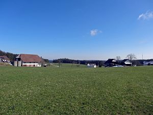 Ein Hauch von Schnee in Tennenbronn