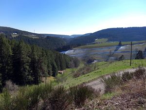 Ein Hauch von Schnee in Tennenbronn