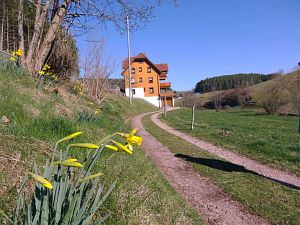 Ein Hauch von Schnee in Tennenbronn