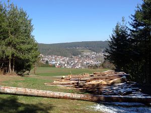 Ein Hauch von Schnee in Tennenbronn