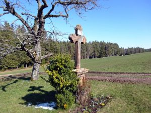 Ein Hauch von Schnee in Tennenbronn