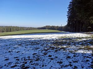 Ein Hauch von Schnee in Tennenbronn