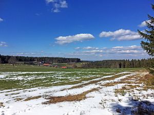 Todesspalt Ramstein