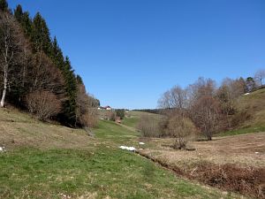 Mittelberg und Unterschiltach