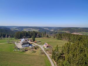 Luftaufnahmen im Vorfrhling in Tennenbronn