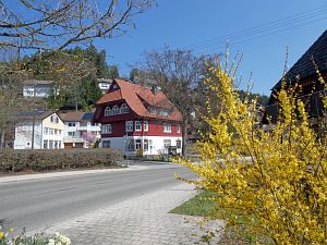 Gaemsen im Bernecktal