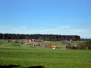 Gaemsen im Bernecktal
