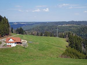 Gaemsen im Bernecktal