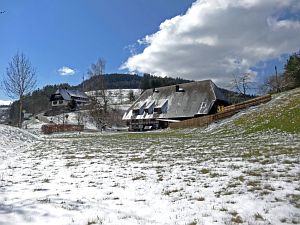 Spaeter Schnee in Tennenbronn