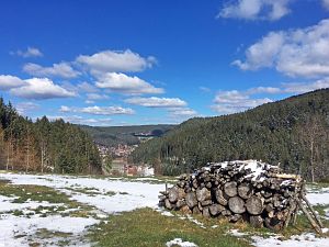 Spaeter Schnee in Tennenbronn