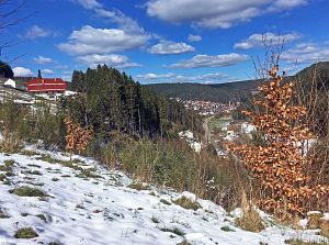 Spaeter Schnee in Tennenbronn