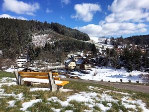 Spaeter Schnee in Tennenbronn