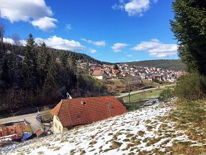 Spaeter Schnee in Tennenbronn