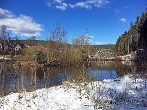 Spaeter Schnee in Tennenbronn