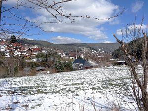 Spaeter Schnee in Tennenbronn