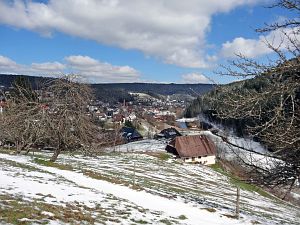 Spaeter Schnee in Tennenbronn