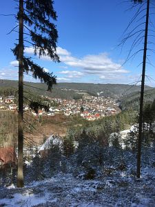 Spaeter Schnee in Tennenbronn