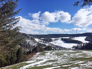 Spaeter Schnee in Tennenbronn