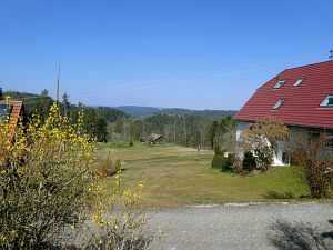 Vogel Strauss in Tennenbronn