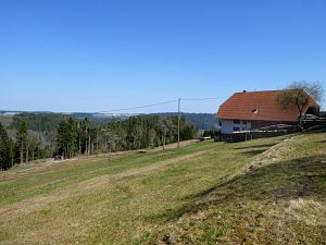 Vogel Strauss in Tennenbronn