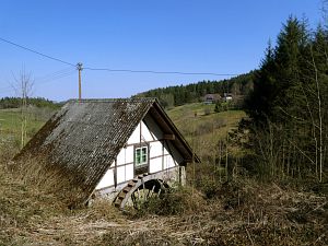 Vogel Strauss in Tennenbronn