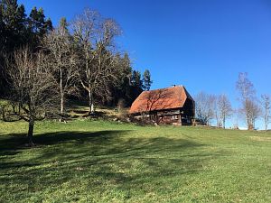 Vorfrhling in Tennenbronn im Schwarzwald