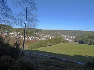 Vorfrhling in Tennenbronn im Schwarzwald