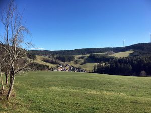 Vorfrhling in Tennenbronn im Schwarzwald