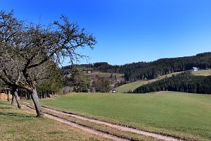 Vorfrhling in Tennenbronn im Schwarzwald