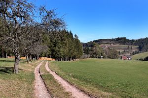 Vorfrhling in Tennenbronn im Schwarzwald