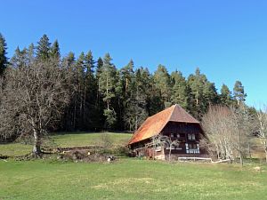 Vorfrhling in Tennenbronn im Schwarzwald